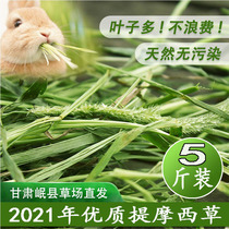 2021 new grass 5 catties of high quality Timothy grass Beituru guinea pig rabbit grain Dutch pig pasture Minxian County