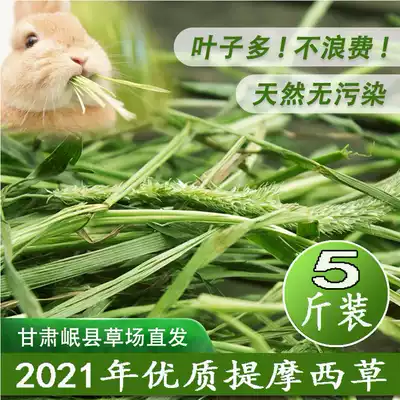 2021 new grass 5 catties of high quality Timothy grass Beituru guinea pig rabbit grain Dutch pig pasture Minxian County