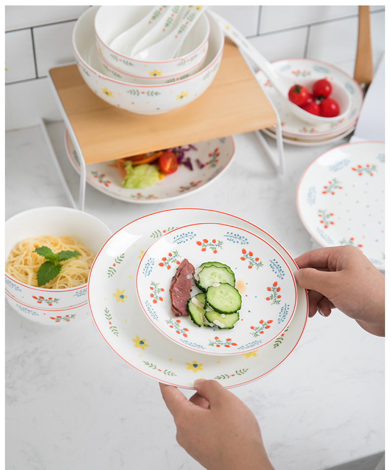 Lovely holiday ipads porcelain tableware suit dish dish spoon ceramic family dishes with rice bowl dish suits for