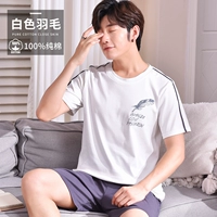 Белые перья