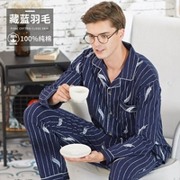 Темно-синее перо