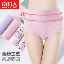 Antarctica Women's Underwear High Waist Belt Raised Butt Pure Cotton Camouflage Triangle Head Cute Sexy Girl Japanese Shorts