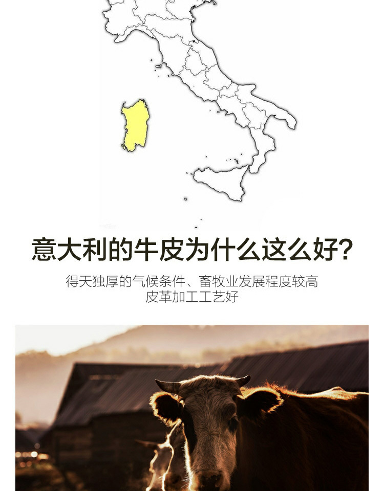 水星出品 百丽丝家纺 意大利头层牛皮凉席 图7