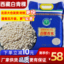 Barley rice Tibet 5 pounds barley wheat Lhasa white Tibet specialty five grains whole grains whole grains rice fragrant rice
