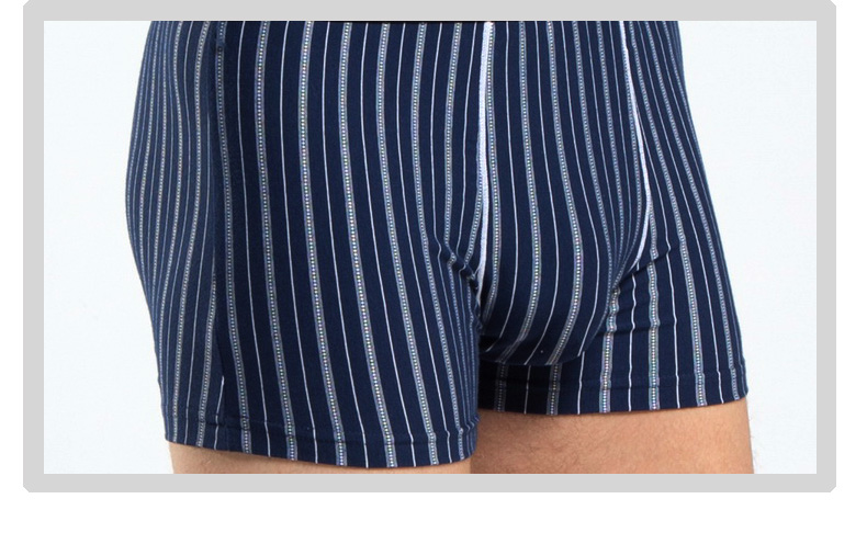 Quần lót nam Boxer Cotton Trẻ trung mùa thu và mùa đông Sọc cá tính Mid-tăng Loose Loose Boxer 2 quan xi nam