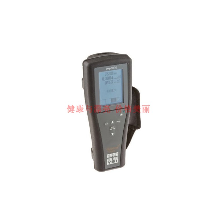 YSI Pro1020便携式水质分析仪