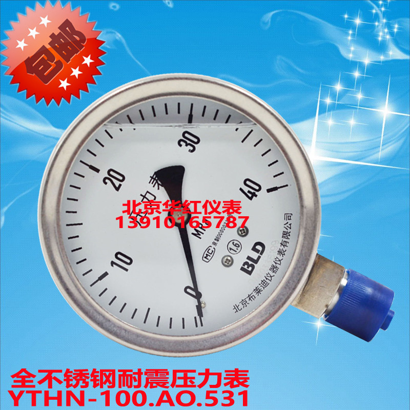 Beijing Brady stainless steel earthquake resistant pressure gauge YTHN-100 can be checked and invoiced YTN-100H