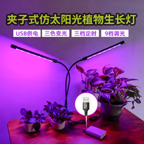 Fleshy color fill light waterproof USB clip spectrum LED flower bonsai plant light imitation Sun growth 5V light