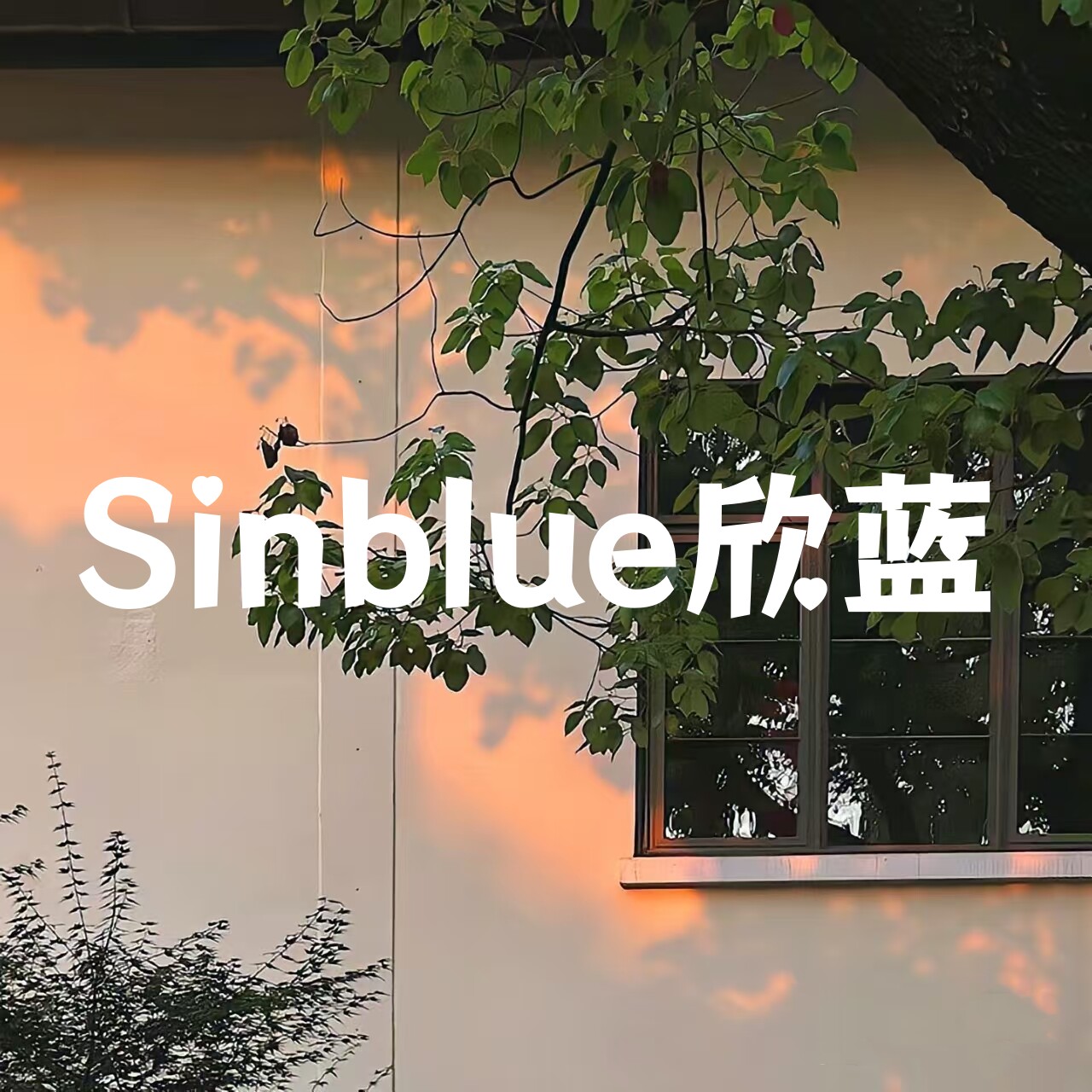 Sinblue欣蓝