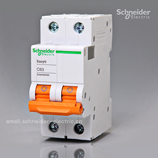 Schneider Air switch Schneider Circuit Breaker 2P C63A Bipolar air open EA9AN2C63