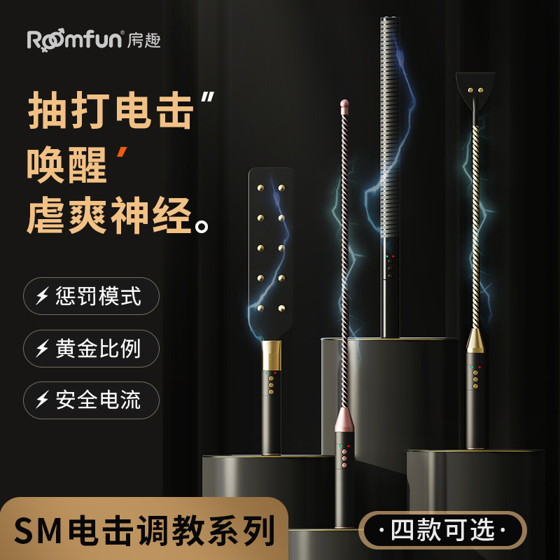 Tools: Electric Shock Stick, Whip, Spanking Whip, Leather Paddle, Punishment Tool, Horse Whip, Spanking Tool
