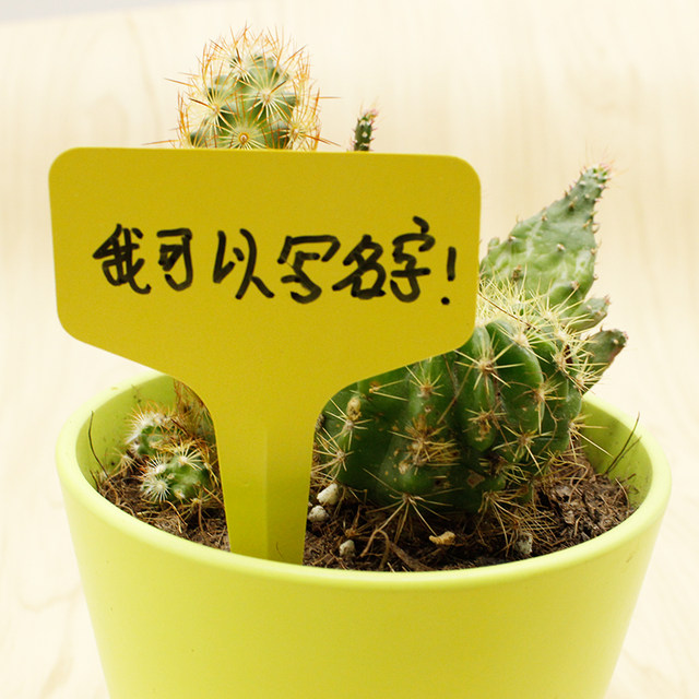 Succulent label plant label thickened brand flower name inserting gardening flower name marks plastic gel ຖົງມືປາກກາ