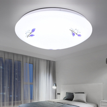 LED ceiling lamp round modern simple bedroom lamp living room lamp restaurant ceiling lamp kitchen and bathroom sun lamp corridor lamp