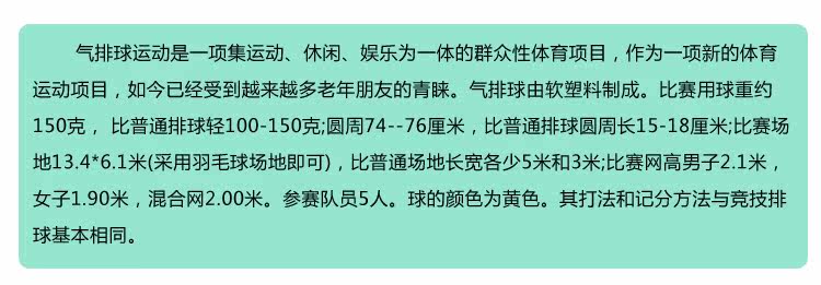 Ballon de volley-ball - Ref 2010930 Image 7