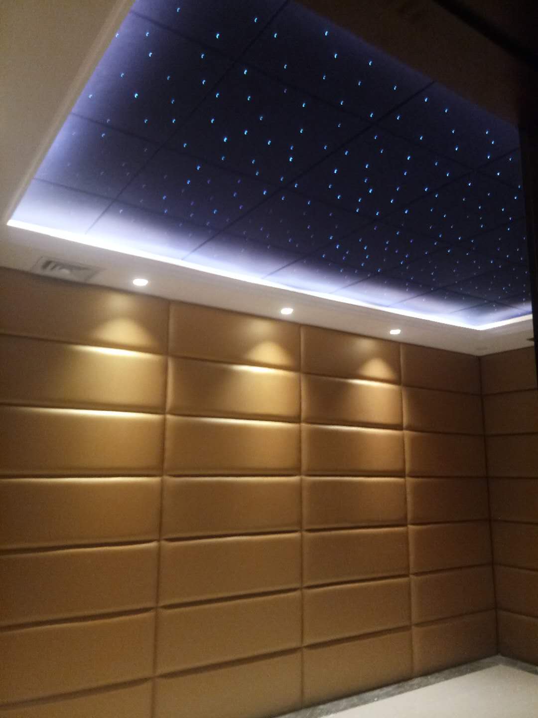 loa âm tường Family KTV Studio Văn phòng Phòng họp Phòng khách thân thiện với môi trường Phòng ngủ Châu Âu Vải mềm Túi cứng Túi cứng Tường 	micro không dây hát karaoke hay