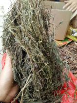 New natural wild Hedyotis diffusa Hundred-flowered Hedyotis new dry goods 500g