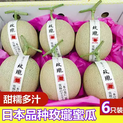 Japanese varieties of rose honeydew melon 6 gift box Shizuoka sunset ice cream honeydew melon reticulated cantaloupe fresh fruit