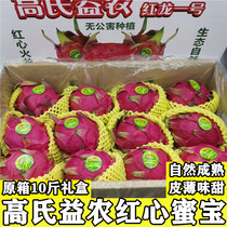 Hainan Gaos Yinong Red Heart Dragon Fruit Red Dragon No.1 Honey Bao 10 Jin gift box fresh seasonal fruit
