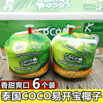 Thailand ilabao coconut Green coco coconut 6 pack fresh small coconut mine coconut fresh fruit perfume coconut Green
