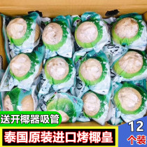Thai barbecue coconut 12 pieces of imported roasted coconut peeled coconut small coconut imported coconut fresh coconut jelly