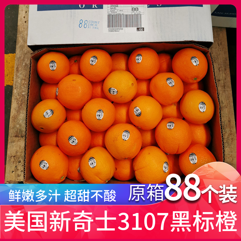 American Novelty 3107 Black Standard Orange Navel Orange sunkist Orange Original Box 88 Sweet Orange Seasonal Orange