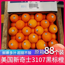 American Novelty 3107 Black Standard Orange Navel Orange sunkist Orange Original Box 88 Sweet Orange Seasonal Orange