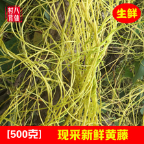 Wild rooting vines fresh yellow vine without Niang Vine vines no Vine Vine noodle rattan Chinese herbal medicine golden silk vine roostrat rooveline