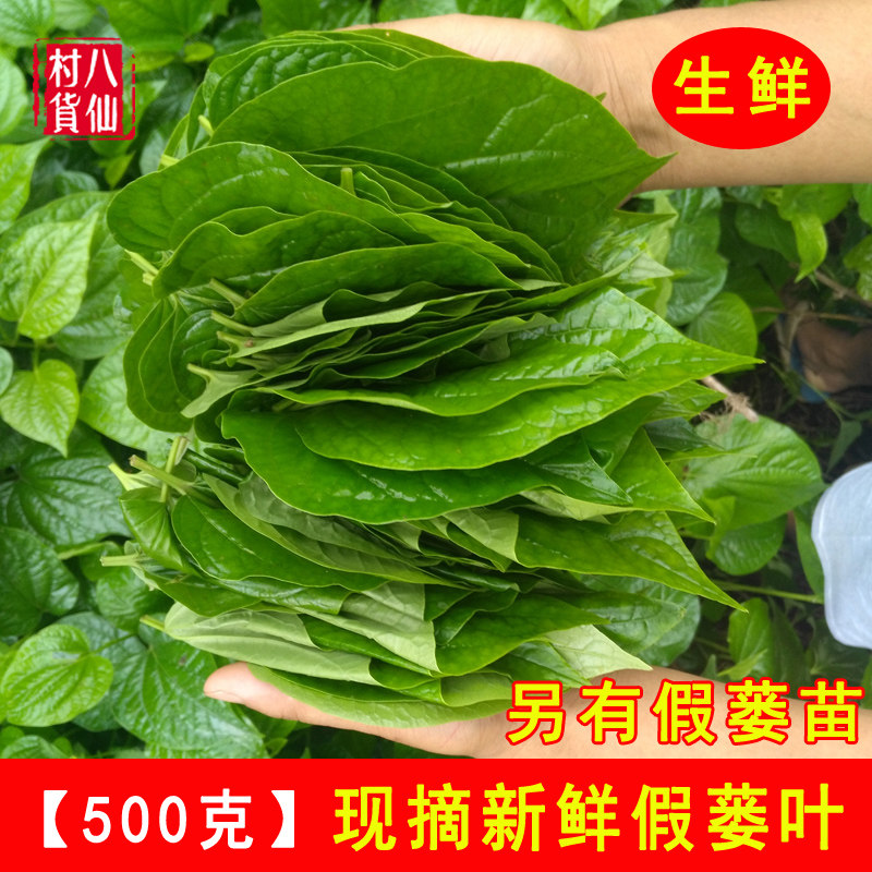 Now remove the fresh fake Trichosanthis Leaf Fake keenwood Trichosanthis leaf Trichosanthis leaves Leaf Stir-fried Snail's Fried Snail's Aroma Vegetable seasonings-Taobao