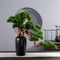 New Chinese simulation welcome pine living room entrance porch Luohan pine bonsai office green plant decoration hotel cliff plant