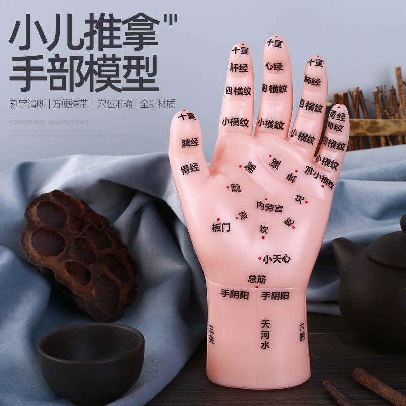 Children's acupuncture of the human acupuncture model of the Massage Model of the Reflective Zone of the Children's Acupuncture Medical Care