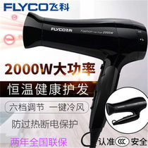 Feike household hair dryer high power fh6231 dryer dryer cold and hot air thermal wind dryer