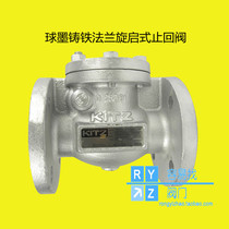 Japan KITZ Kitazawa flange check valve Swing type water pipe check valve reverse check check valve EN16FCO import