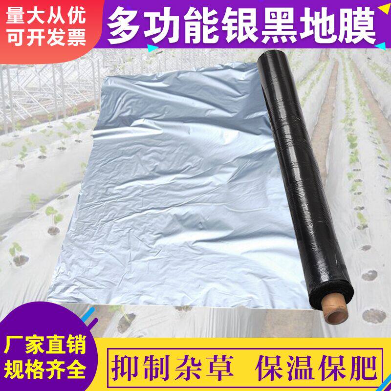 Fruit tree two-color silver black mulch film reflective weeding and insect repellent moisturizing agricultural film black mulch film grape silver gray mulch film