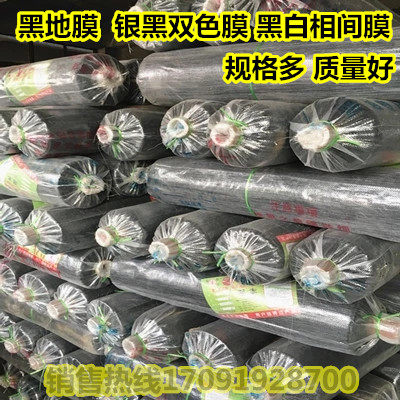 Agricultural silver and black two-color mulch film Black mulch reflective mulch film herbicide film black and white film white mulch plastic film