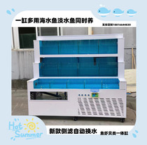 Seafood Tank Shell Pool Chilled Taiwan Supermarket Aquatic Seafood Pool Merchant Seafood Pool Refrigerator Integrated Restaurant Seafood Tank