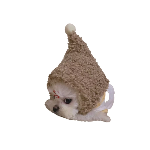 Шляпа для любимой собаки