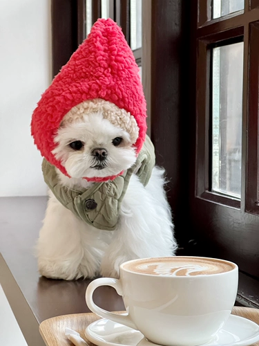 Милая шапка, удерживающий тепло зимний флисовый шлем, увеличенная толщина