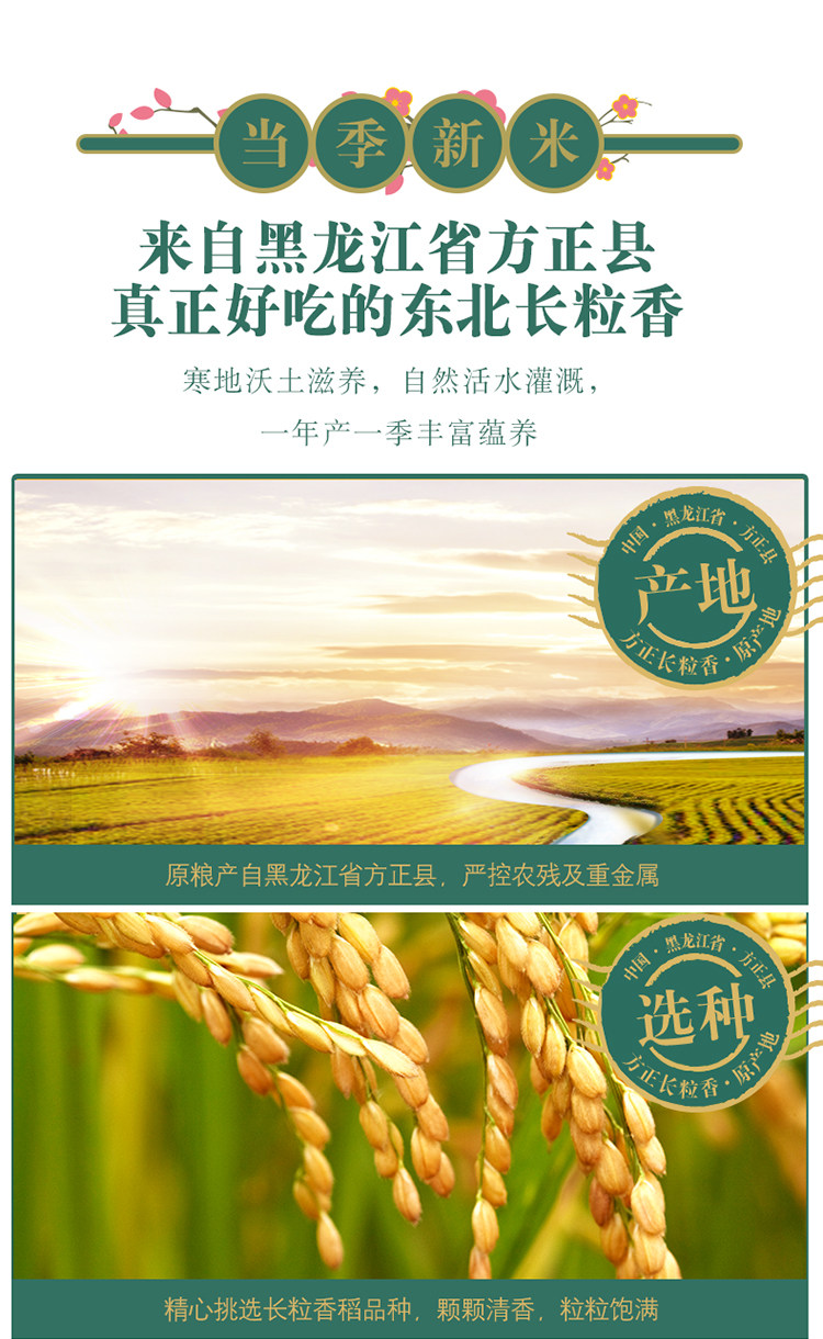 安享好物 安享C级粳米-金龙鱼臻选 方正长粒香 国标