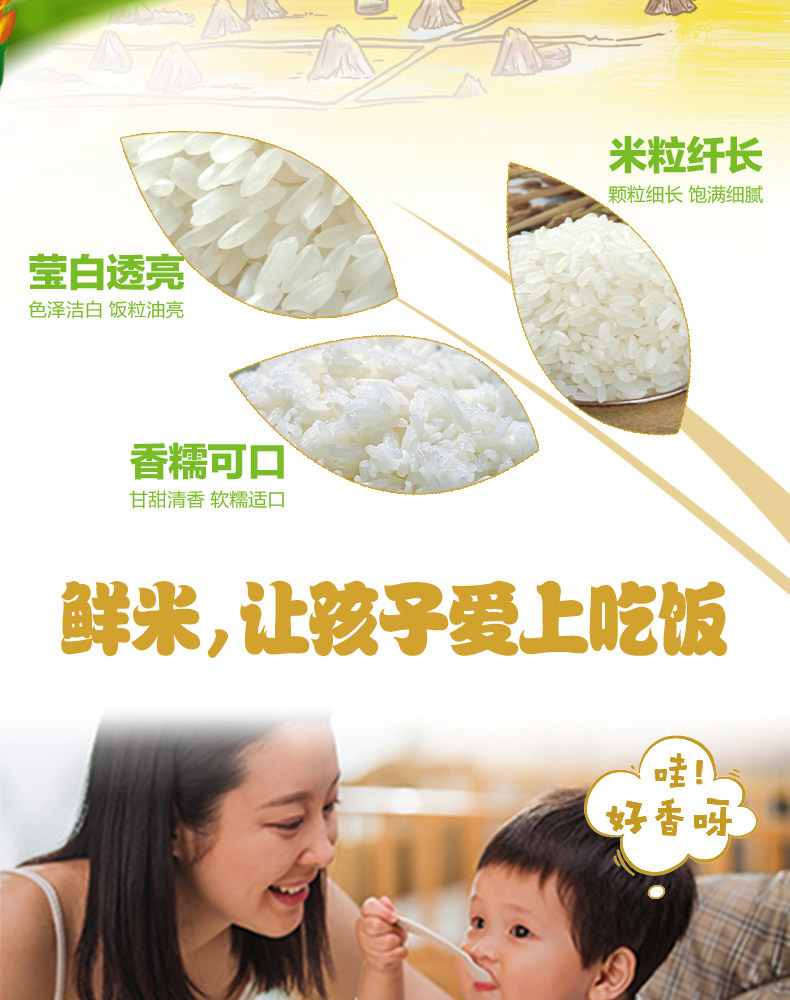 安享好物 安享B级粳米-金龙鱼6步鲜 金域鲜稻五常米 国标 