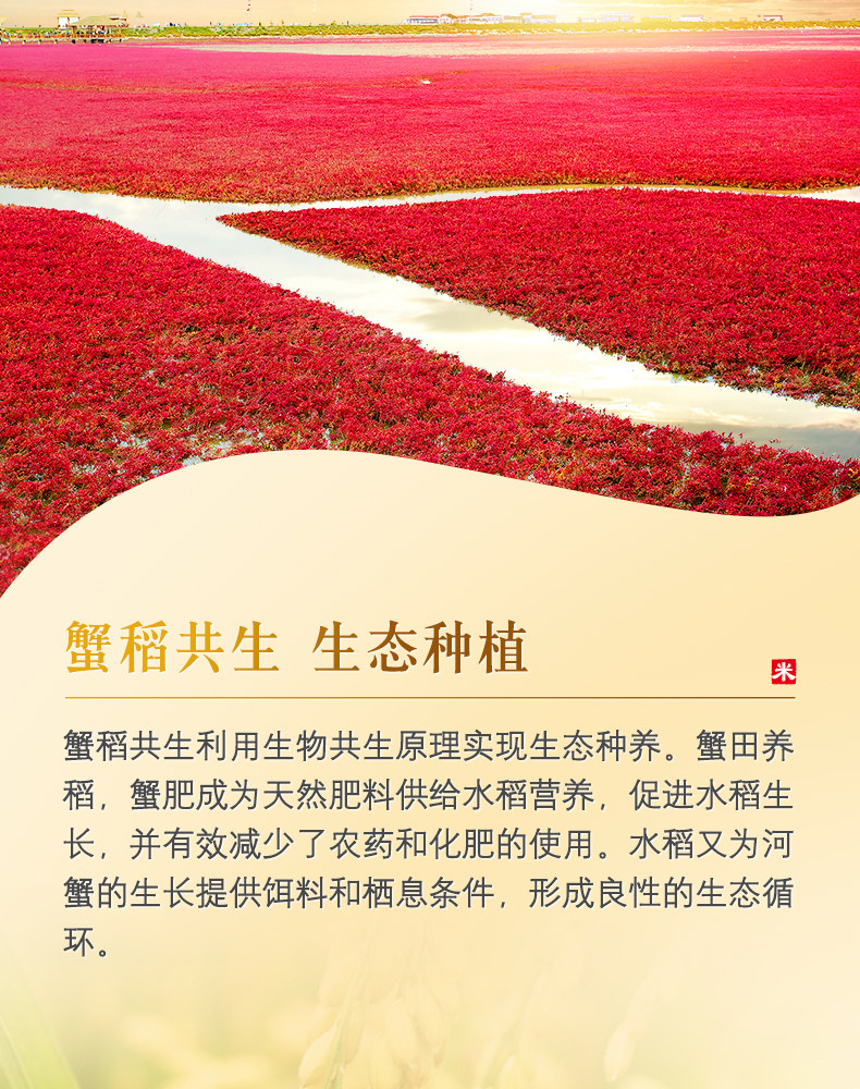 安享好物 安享C级粳米-金龙鱼盘锦大米 国标 