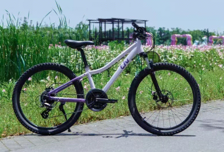 LIV Giant CATE24-D1 2 girls student aluminum alloy disc brake variable speed mountain bike Kate 24 inch
