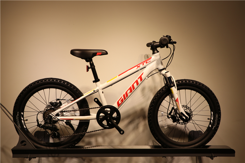 boys giant mountain bike