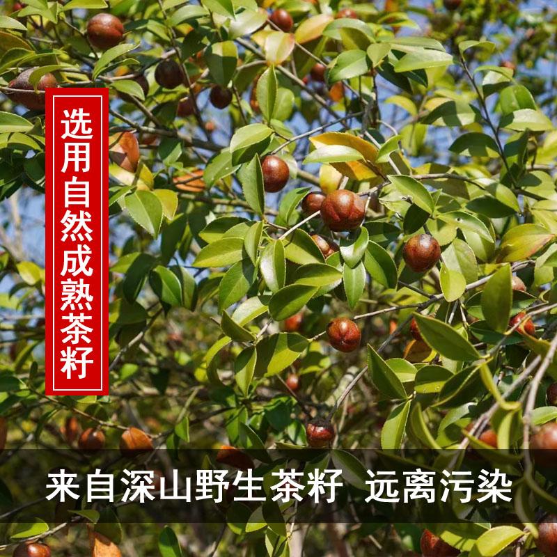 山茶枯饼：从洗发到洗碗，一物多用的宝藏