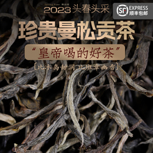 顺丰现货速发!2023正宗曼松贡茶普洱茶生茶散茶礼盒装