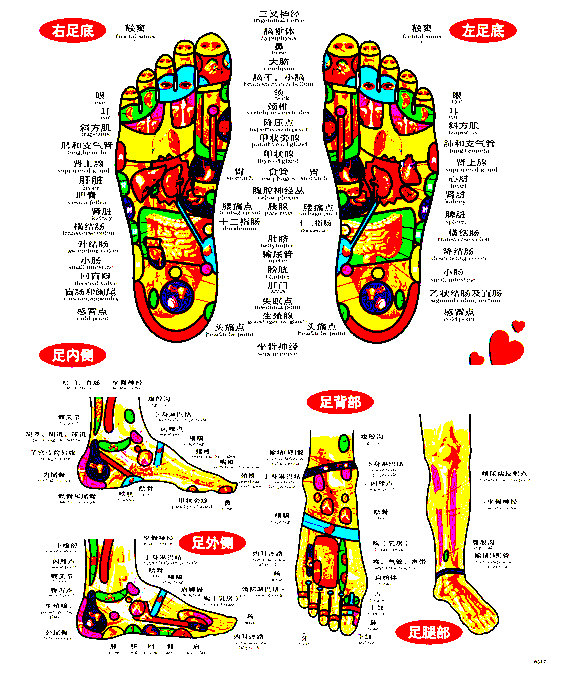 [USD 5.67] Foot Meridian Reflection Area Map Foot Meridian Point Wall