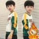 HH19-052 Green Plus Velvet
