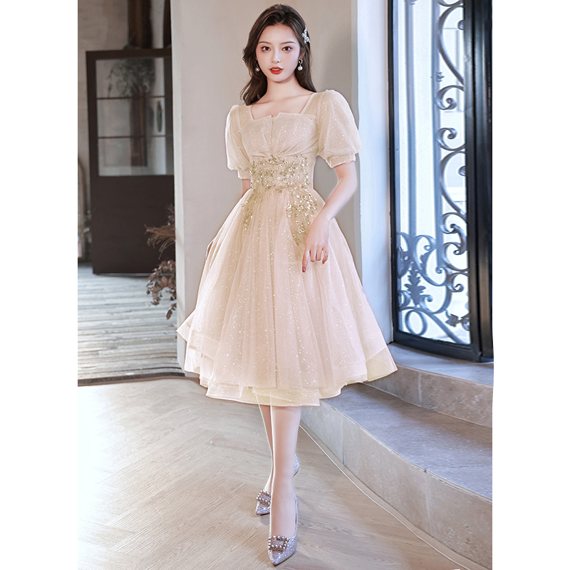  XL+Short mini-skirt, champagne color   - $3.14 
