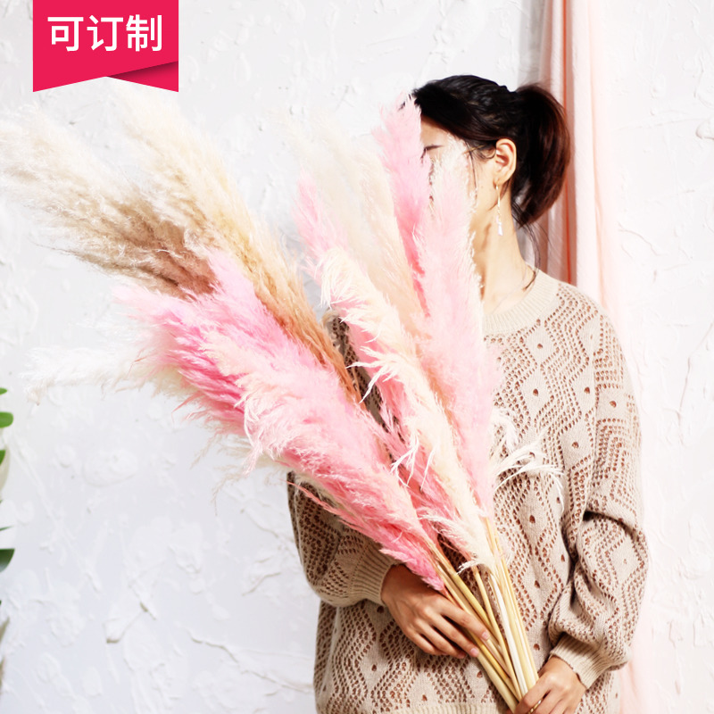 ins pink white reed dried flowers large reeds pureed dried flower decoration air-dried living room floor home furnishing-Taobao