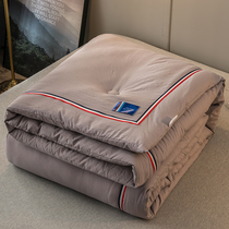 Water-washed cotton quilt winter thickened warm double spring and autumn quilt core single student dormitory quilt quilt bedding