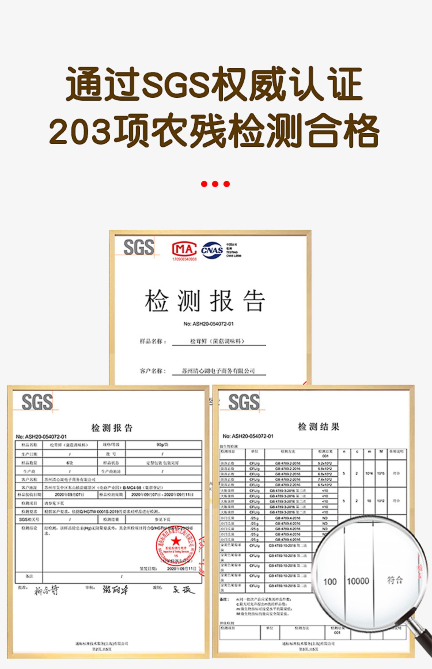 清心湖松茸鲜调味料100g代替鸡精味